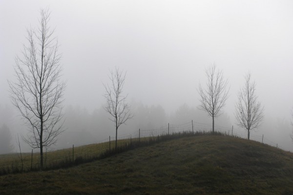 Niebla en invierno