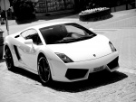 Lamborghini blanco