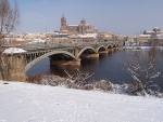 Puente Enrique Estevan sobre el río Tormes, Salamanca