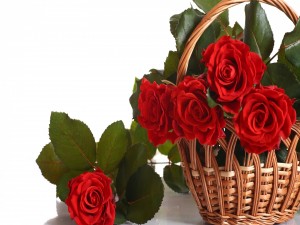 Rosas rojas en una cesta