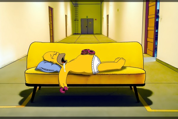 Homer dormido