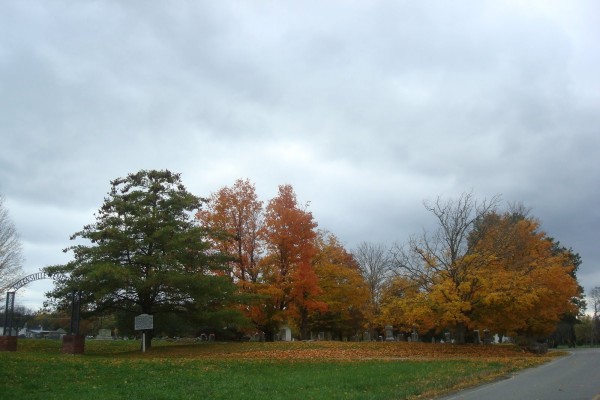 Árboles en otoño junto al cementerio