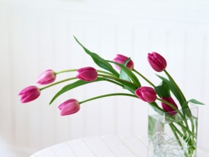 Postal: Jarrón con tulipanes rosas