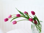 Jarrón con tulipanes rosas