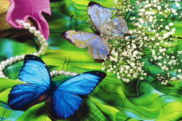 Mariposas sobre un pañuelo verde