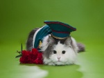 Lindo gatito con sombrero y flores