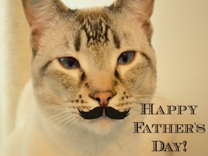 El gato desea un ¡Feliz Día del Padre!