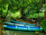 Barcas de colores en el río