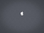 Apple en fondo gris