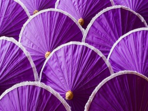 Paraguas de color púrpura
