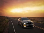 Mustang en la carretera al atardecer