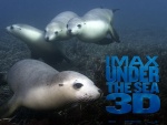 Bajo el mar en 3D Imax
