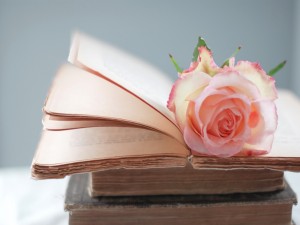 Una rosa sobre libros antiguos