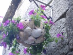 Flores en un macetero de conchas
