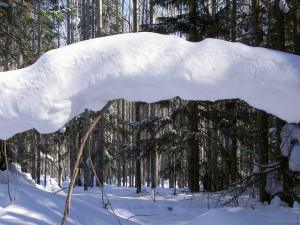 Arco de nieve