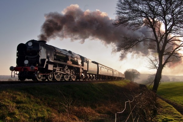 Tren atravesando un campo