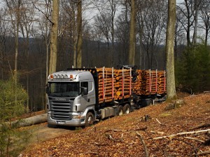 Postal: Camión Scania transportando troncos
