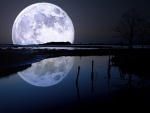 Luna llena reflejada en el agua
