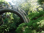 Bonito puente rodeado de naturaleza