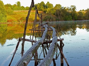Puente de palos sobre el lago