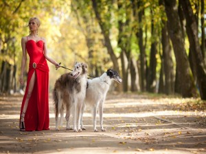 Elegante mujer, paseando perros en el parque