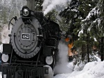 Tren en el bosque nevado