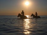 Caminando en el agua con caballos al atardecer