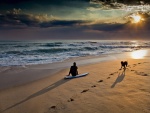 Un hombre y un perro a orillas del mar