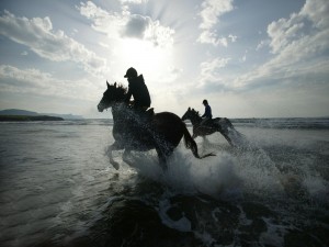 Carrera de caballos en la playa