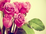 Ramo de rosas rosas