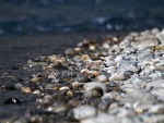 Piedras mojadas y secas