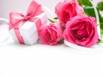 Rosas de color rosa para regalar