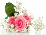 Bellas flores rosas y blancas