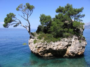 Postal: Gran roca con árboles en el mar