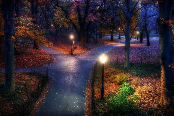 Parque en otoño visto al anochecer
