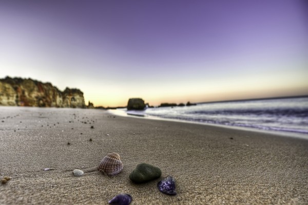 Conchas y piedras en la arena de la playa