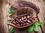 Semillas de cacao y hojas verdes