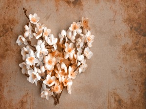 Corazón con flores blancas