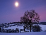 El brillo de la luna en un paisaje nevado