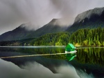 Caseta verde flotando en el lago