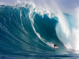 Surf en la gran ola
