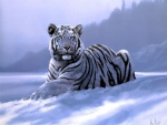 Tigre blanco en la nieve