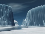 Pingüinos solitarios en el hielo
