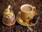 Café, galletas oreo y un cupcake