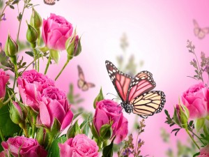 Coloridas mariposas entre las flores