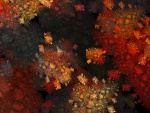 Colores de otoño