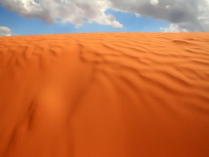 La tostada arena del desierto