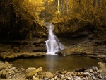 Árbol caído sobre la cascada