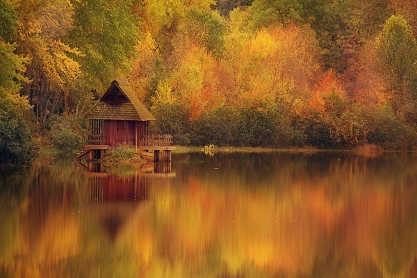 Cabaña de madera en el lago