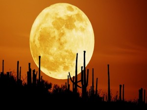 Gran luna llena en el desierto